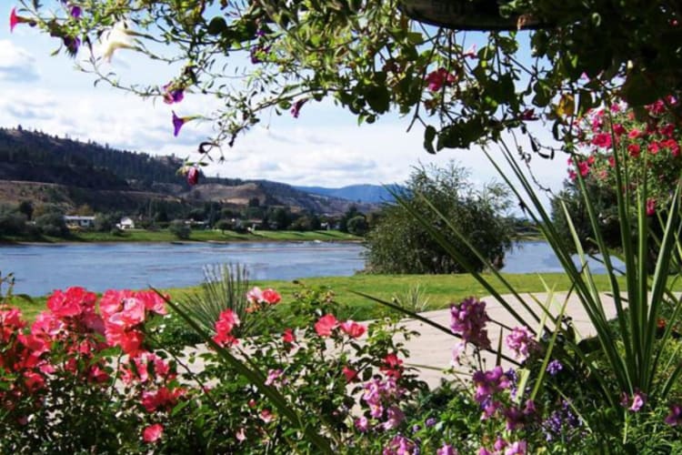 River view